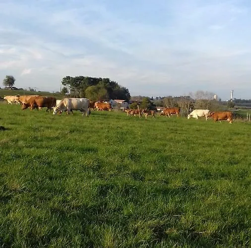 Holiday home La Maison D'augusta Saint-Martin-de-Coux